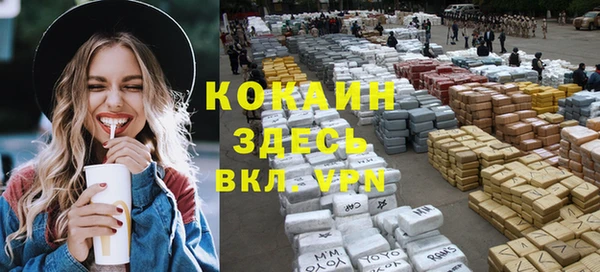 дмт Верея