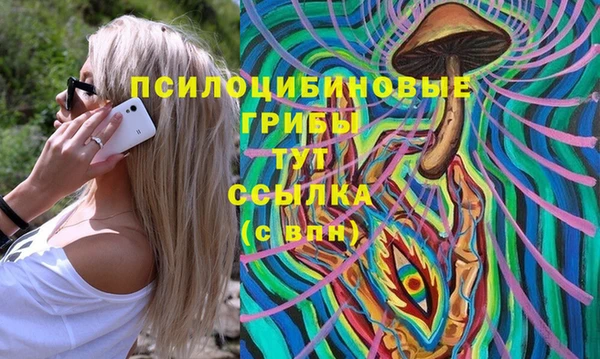 дурь Верхний Тагил