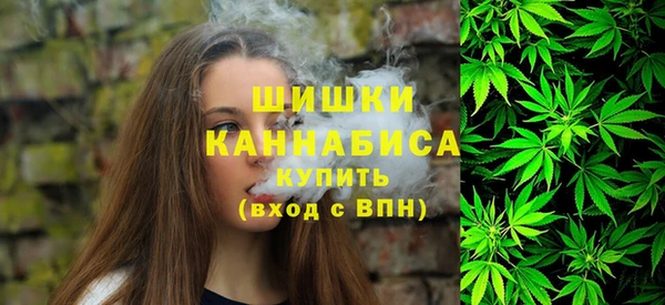 индика Верхнеуральск