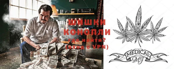 дмт Верея