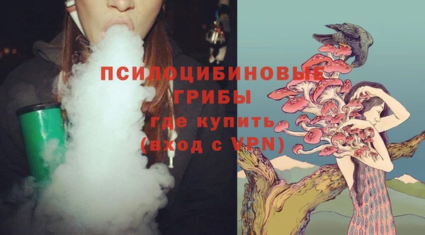 дурь Верхний Тагил