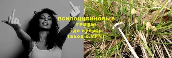 дурь Верхний Тагил