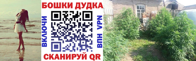Купить закладки  Кстово  МАРИХУАНА AK-47 